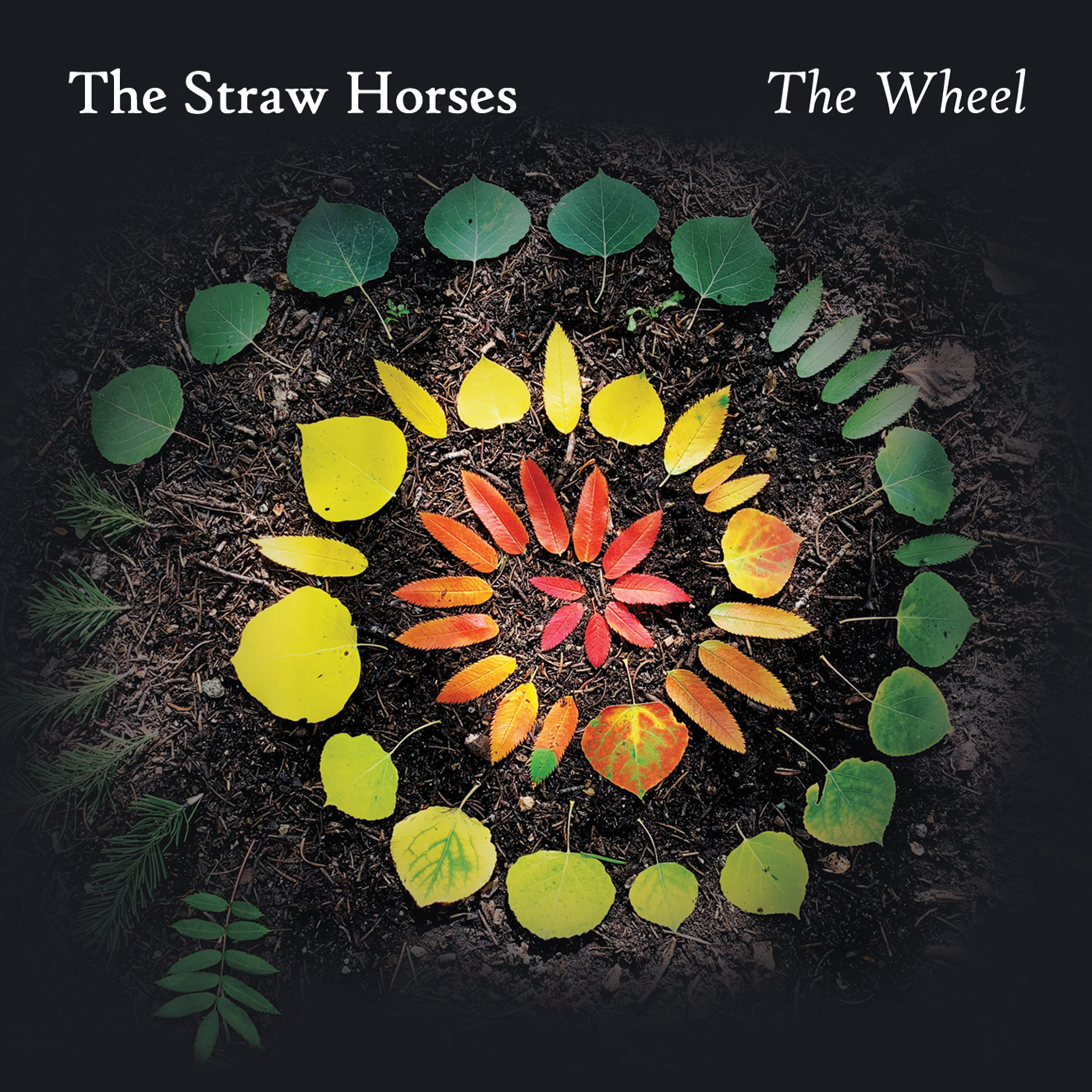 Front cover of 'Dorset Tales' by The Straw Horses